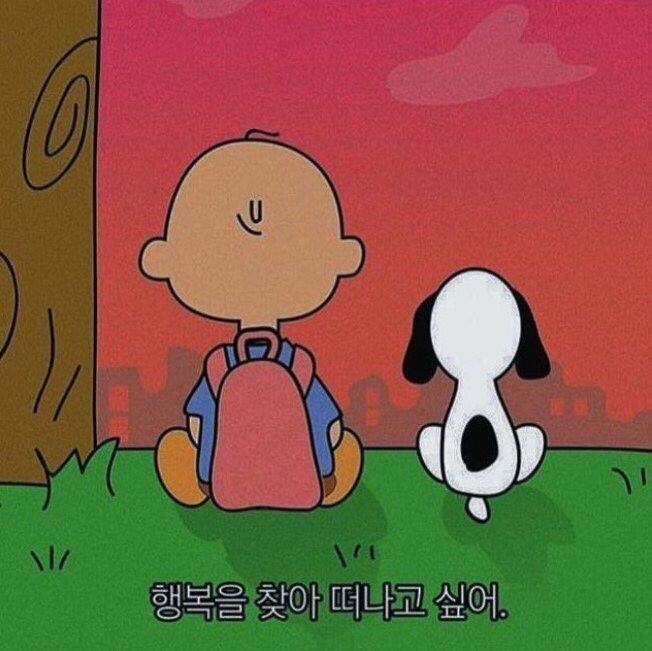 감성사진
