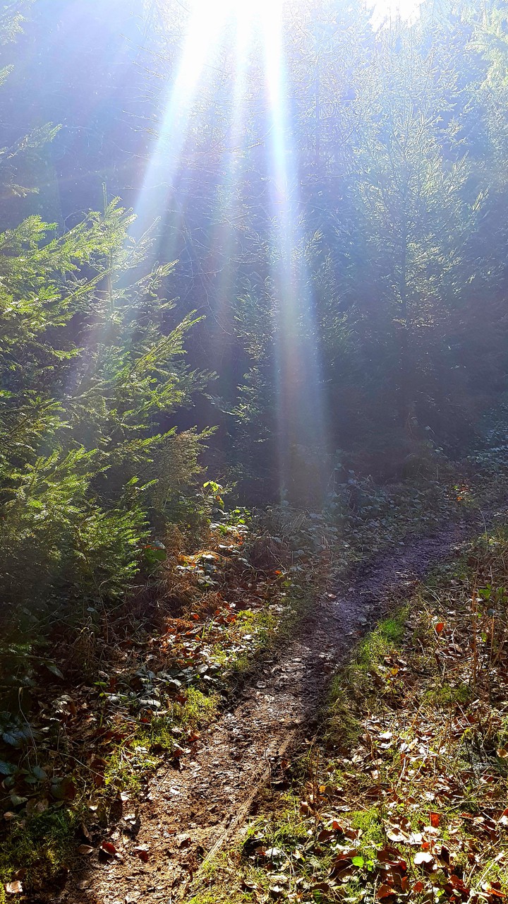 beams of light