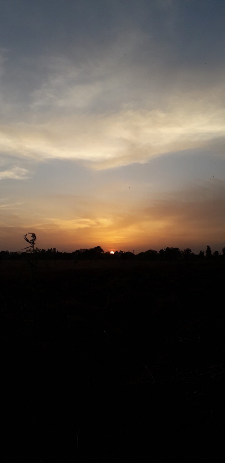 on the way