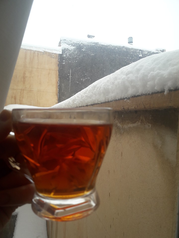 snow morning