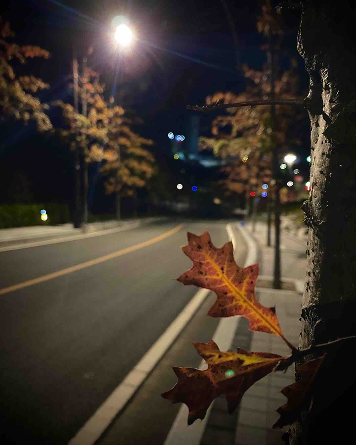 가을