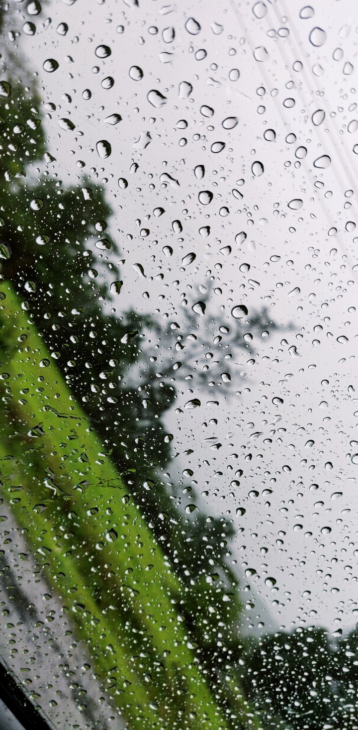 raindrops