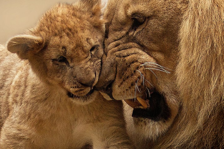 Symbol of Unity and Love.