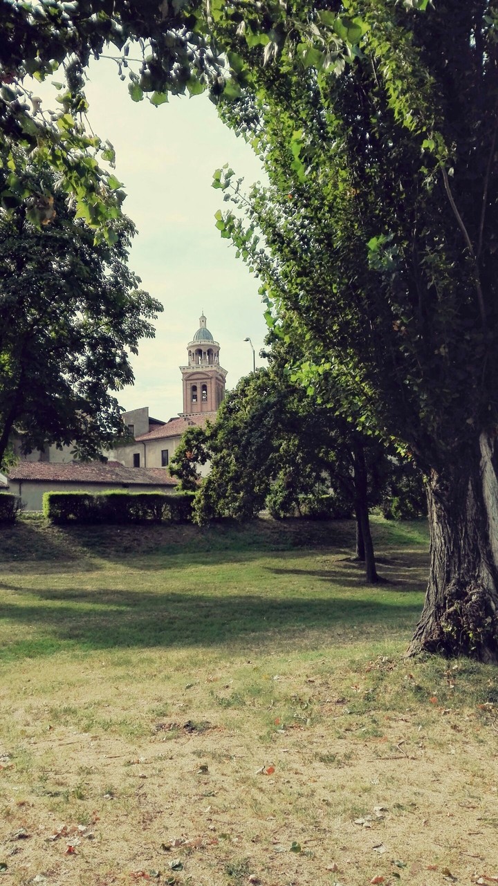 Mantova