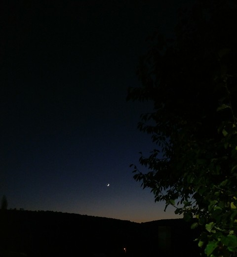 moon
