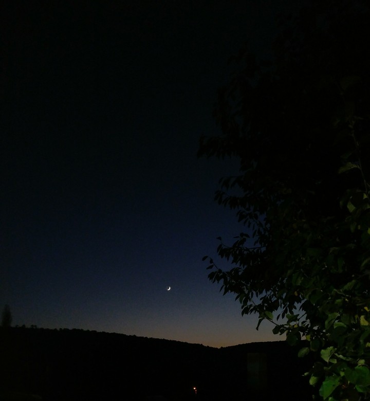moon 
