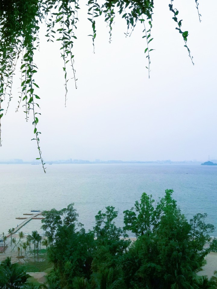 Sea sea sea~