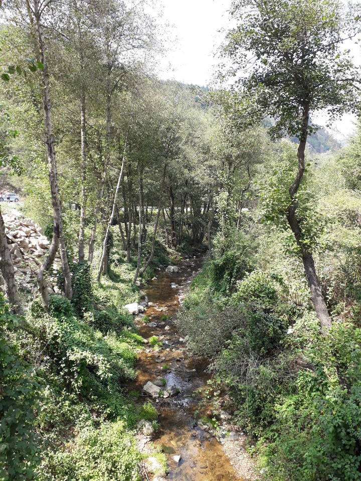Kırkoluk
