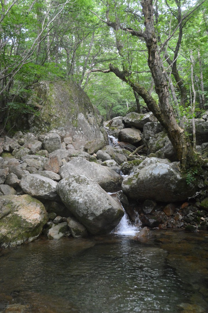 지리산이미지