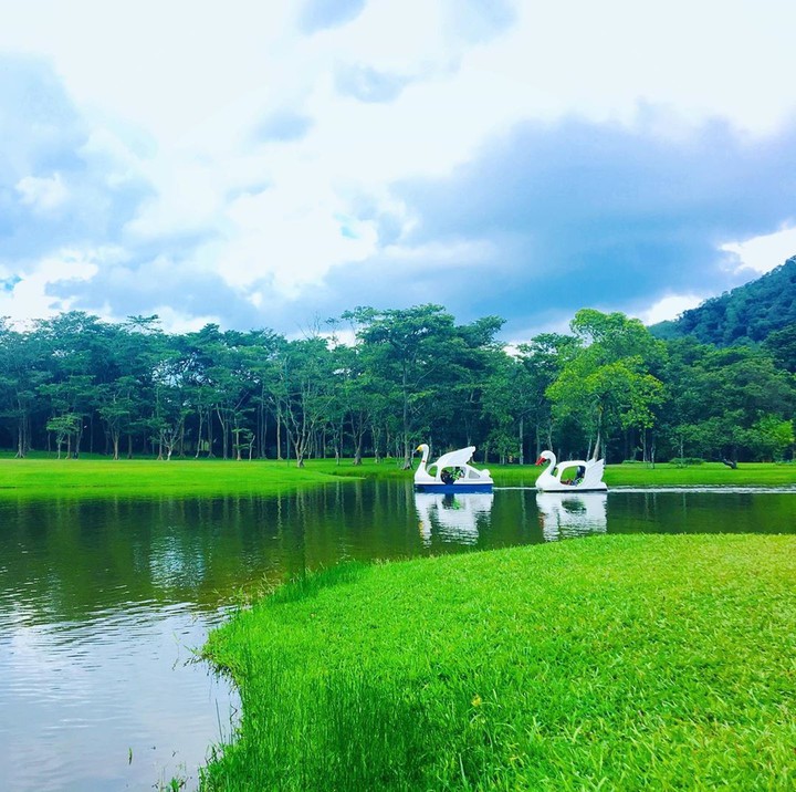 Nature