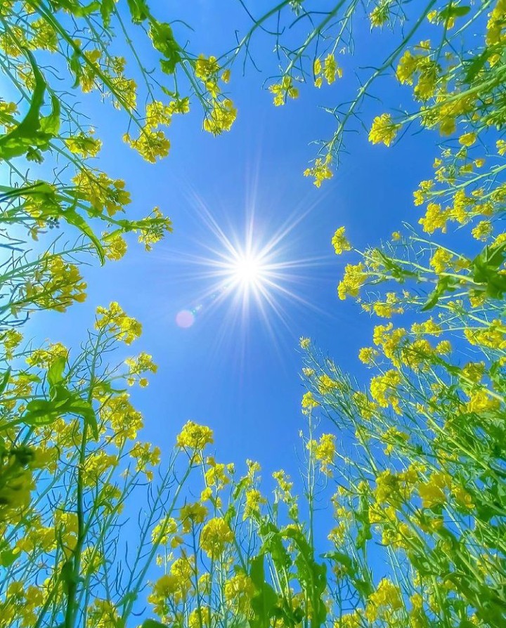 #sun