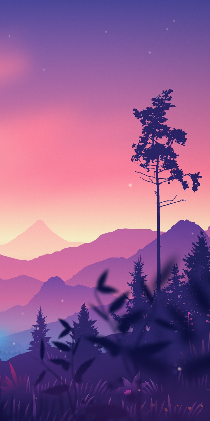 Minimal