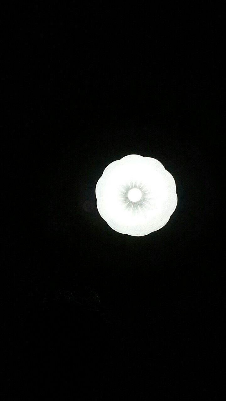 Under the Light