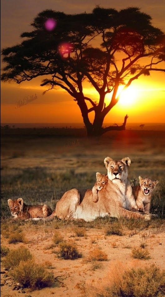 À NATUREZA PERFEITA