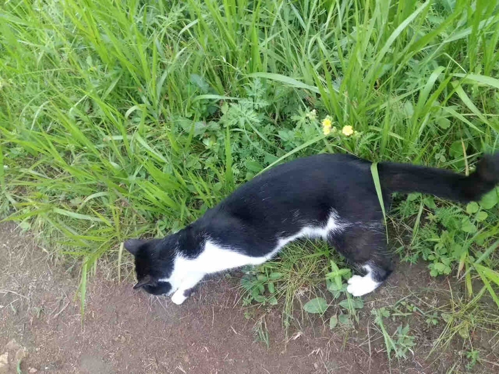 휴.
