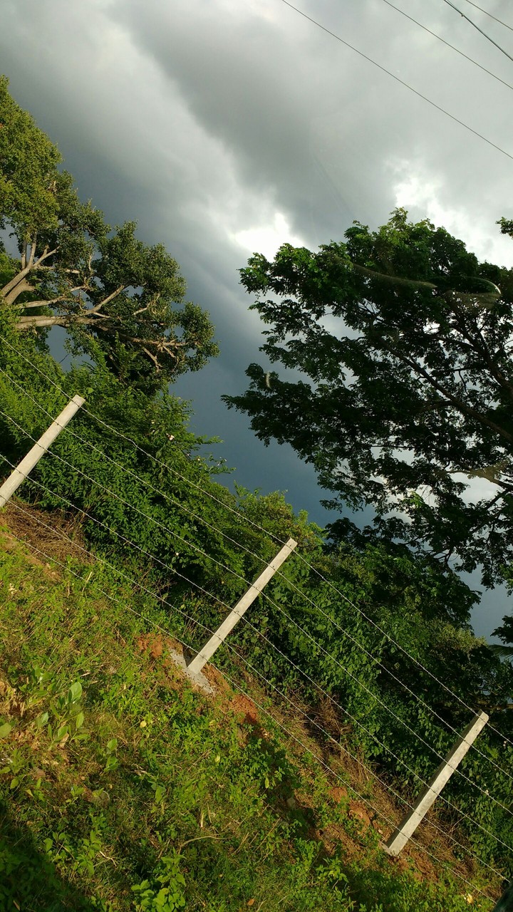 looking through the fences