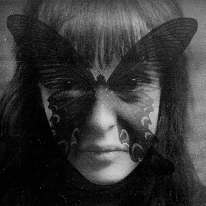 motyl