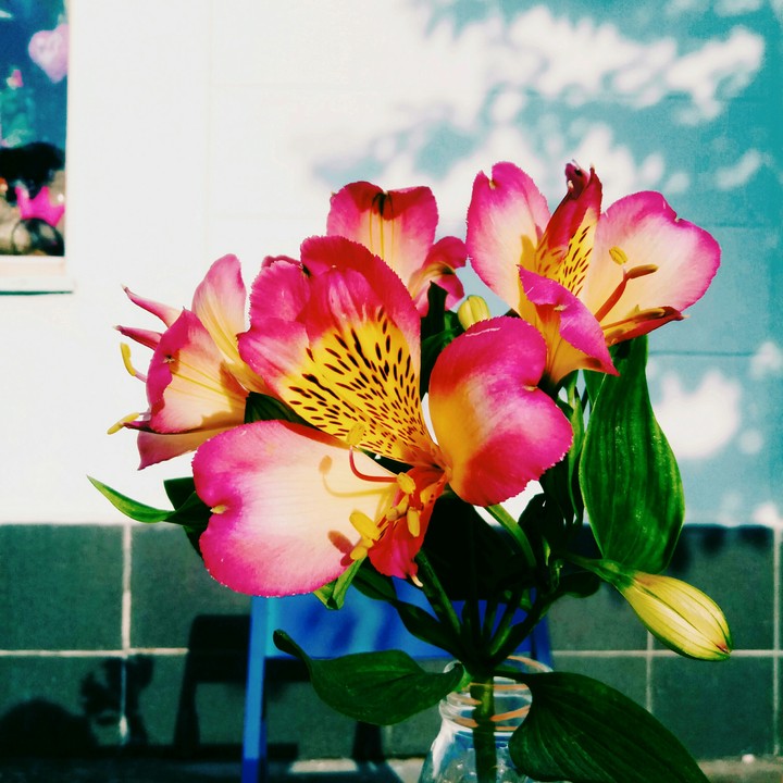 Flowers