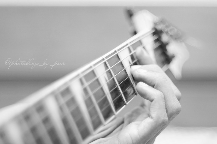 The Player