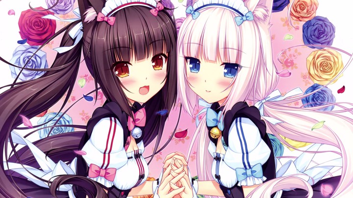 chocolat and vanilla