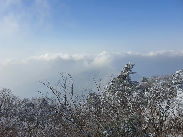 정상