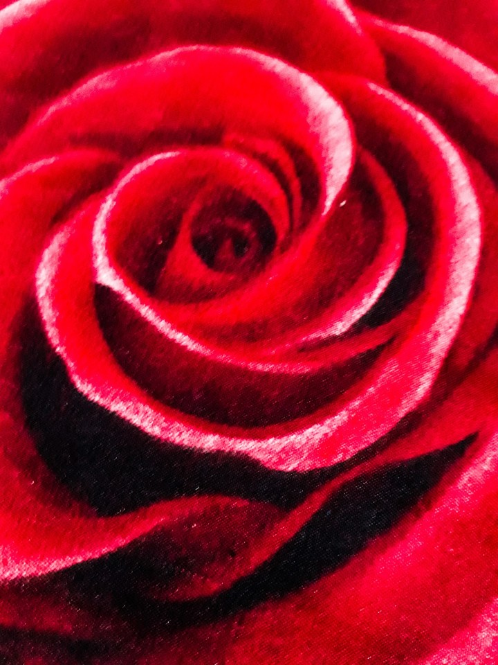 flower painting