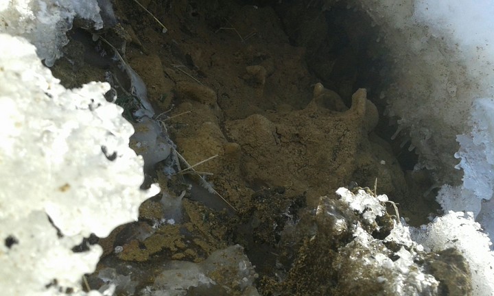 The CaVe