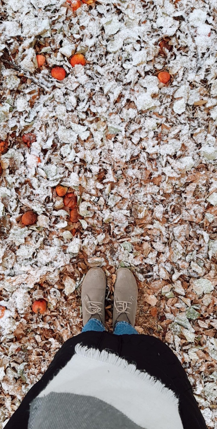 winter