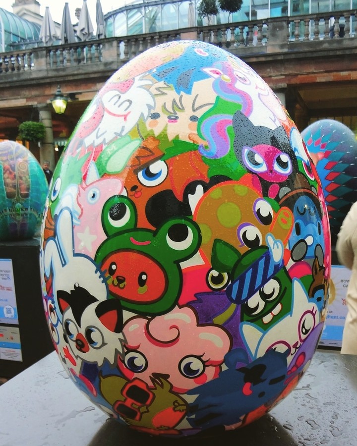 egg