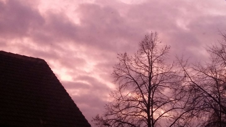 Pink Sky