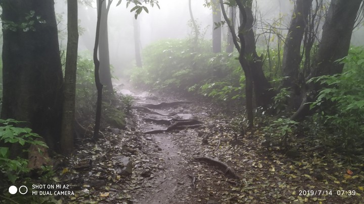 Bhimashankar