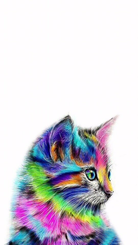 кошка