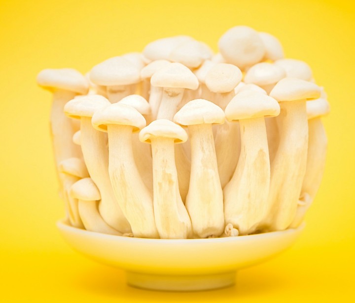 Mashroom