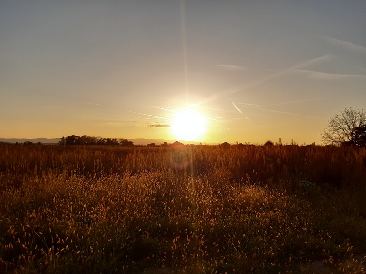 Nature