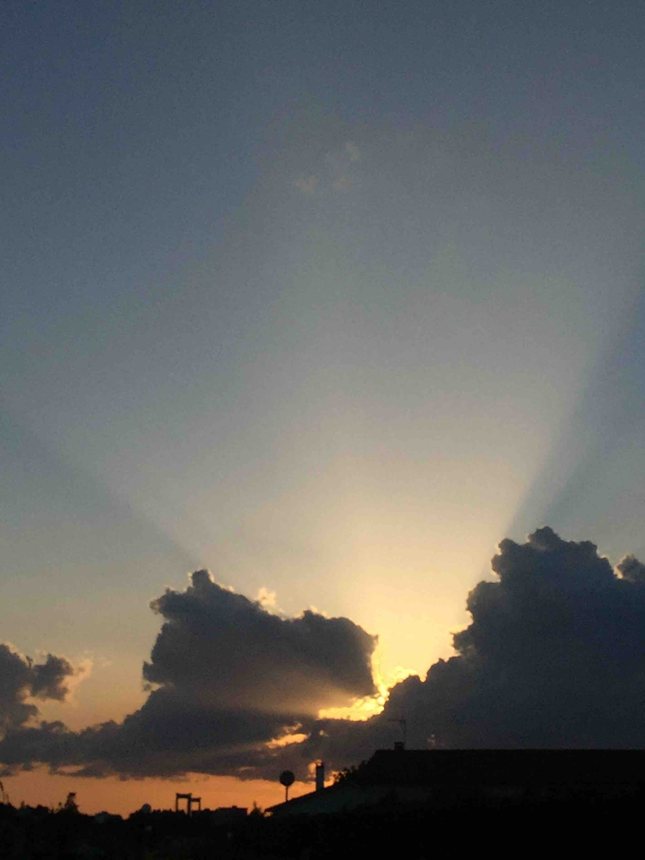 sunlight