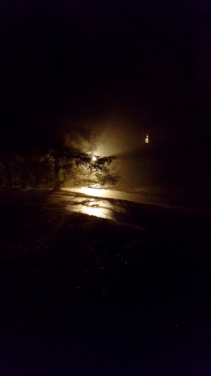 Light on a fog