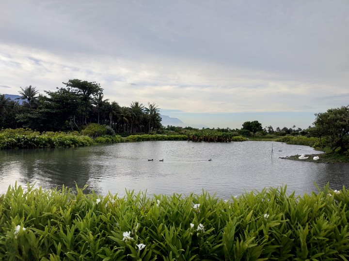 Nature