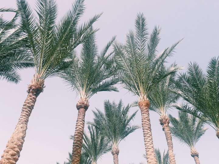 Summer in Egypt