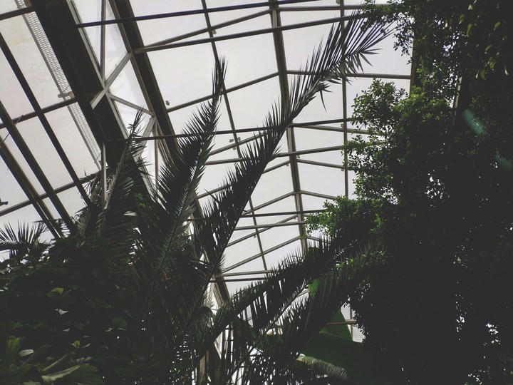 botanical garden