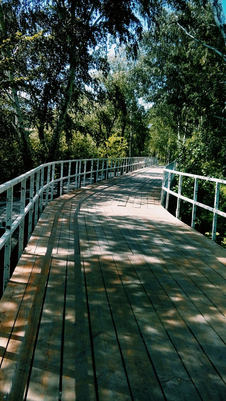 bridge
