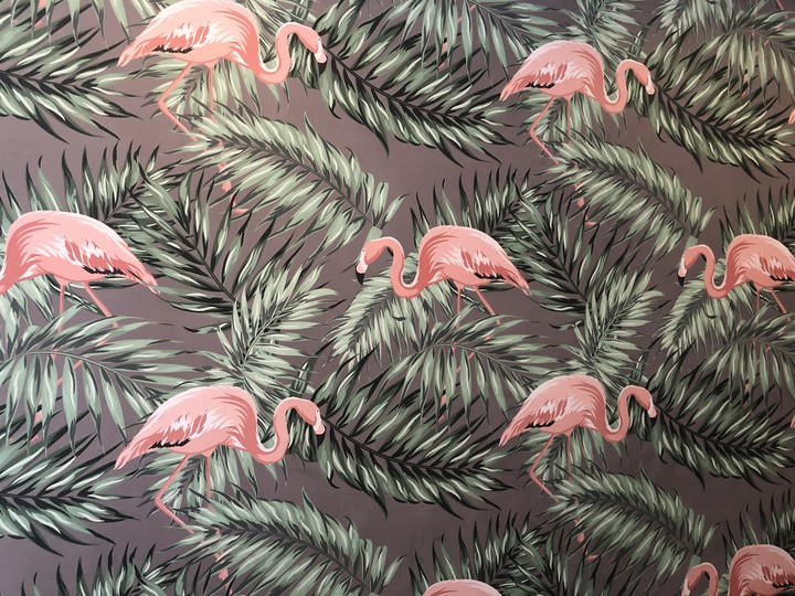 flamingo