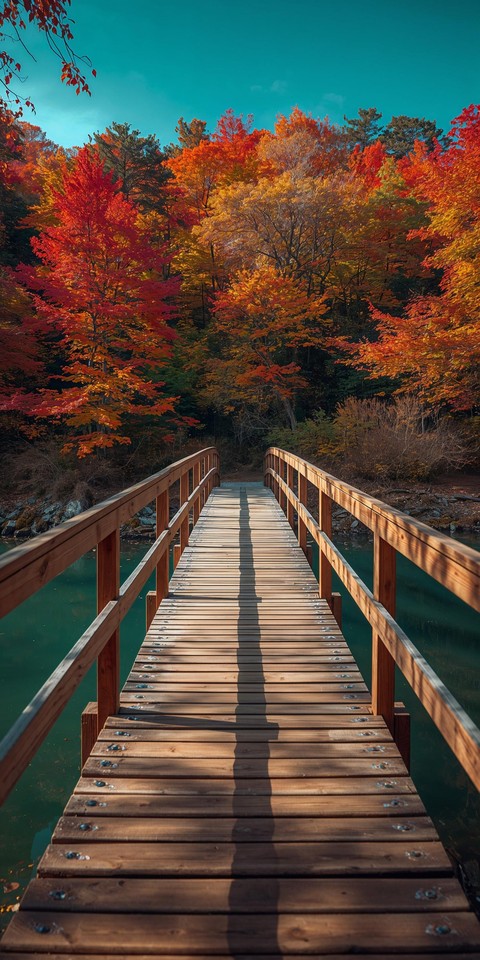 tapety wood, landscape