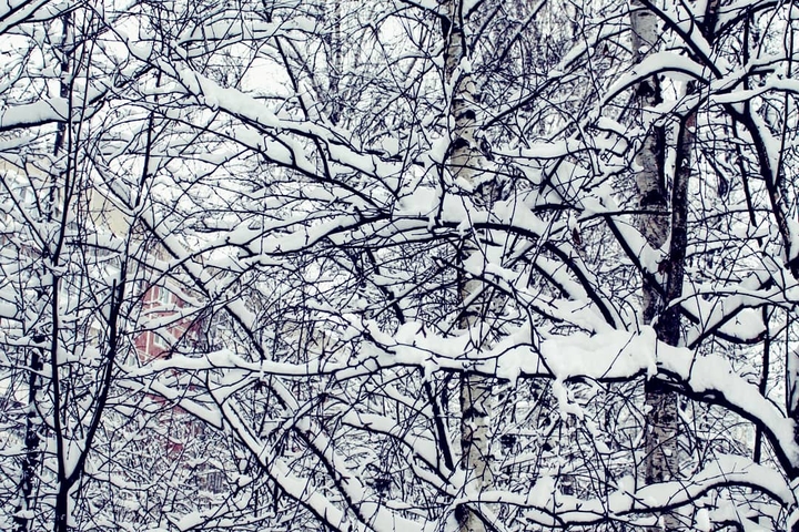 winter in Russia