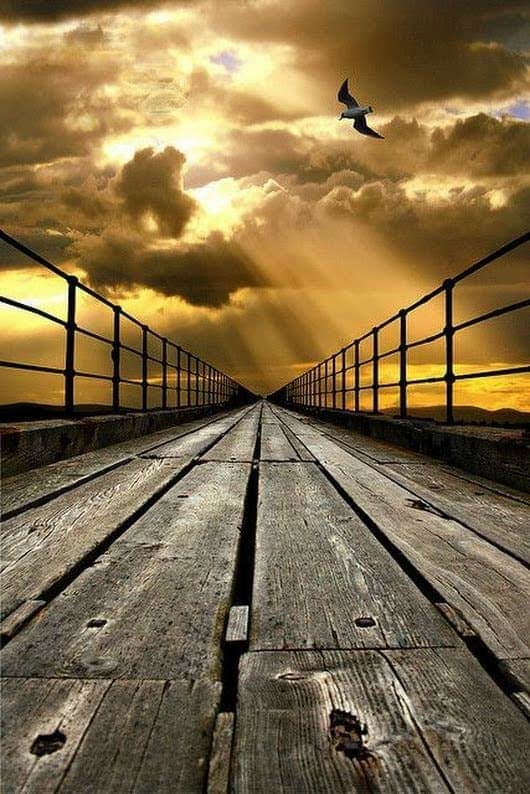 camino