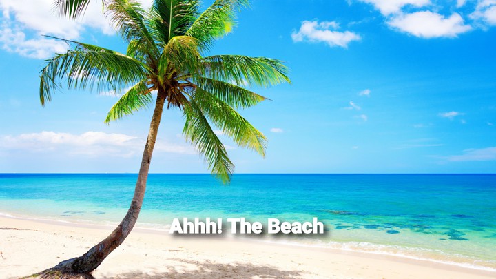 The Beach