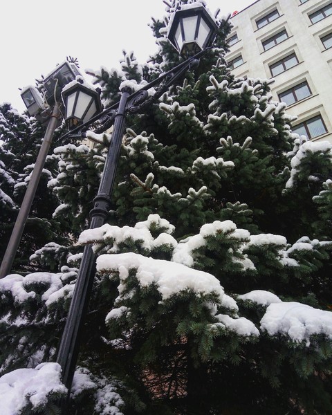 winter