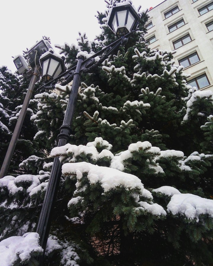winter
