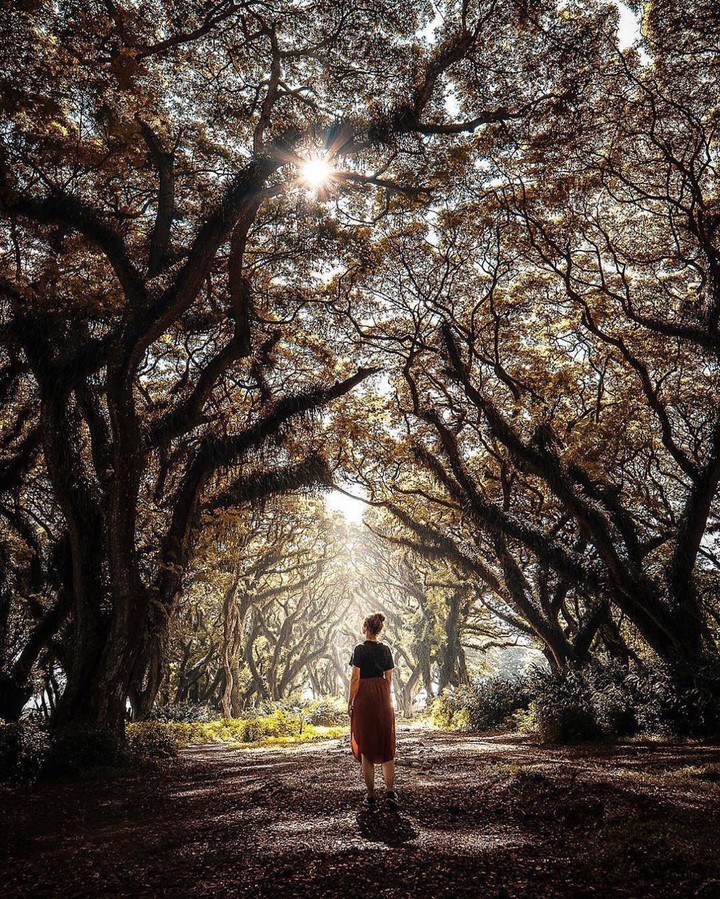 Nature