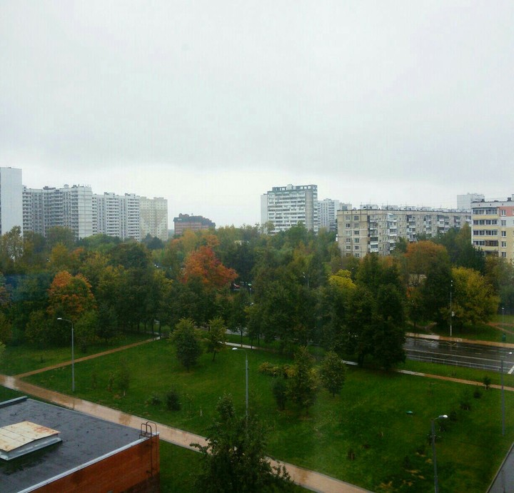 Rain