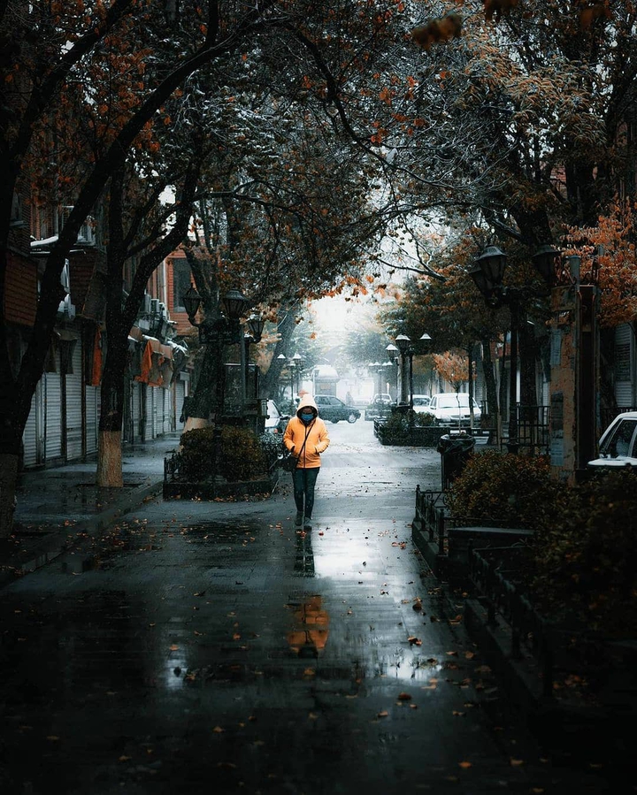 Tarbiat Street